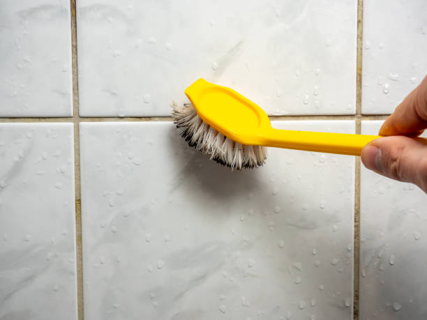 Best Home Mold Removal  in Kankakee, IL