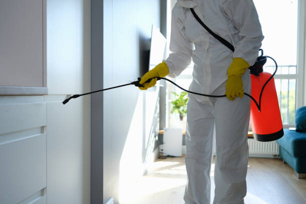 Best Residential Mold Removal  in Kankakee, IL