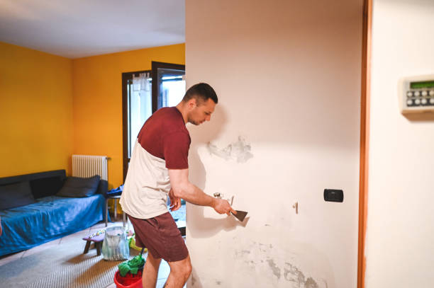 Best Mold Testing and Removal  in Kankakee, IL